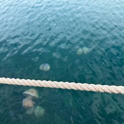 Also ich will da nicht ins Wasser ...