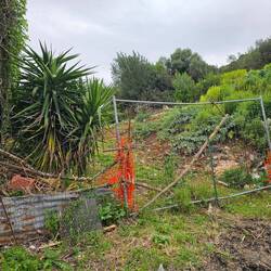 The fence I straddled