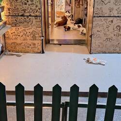 Ein Hundekindergarten 😅