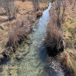 A small stream running through bottomless lakes State Park
