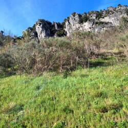 Kurz vor den Cevennen