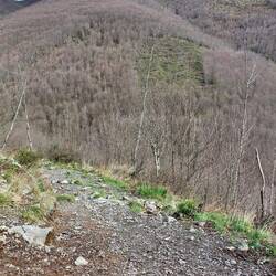 Typical footpath, an ancient stairway