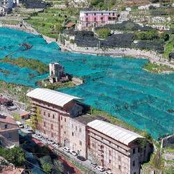 Amalfi; net protection over the lemon and olive trees
