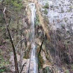 Waterfall (lunch stop)