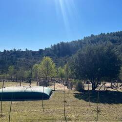 Big huge bag of water. For the sheep?