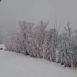 On se pose, il va neiger tout l'après-midi