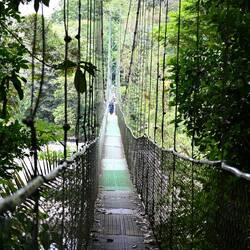 Hanging Bridge