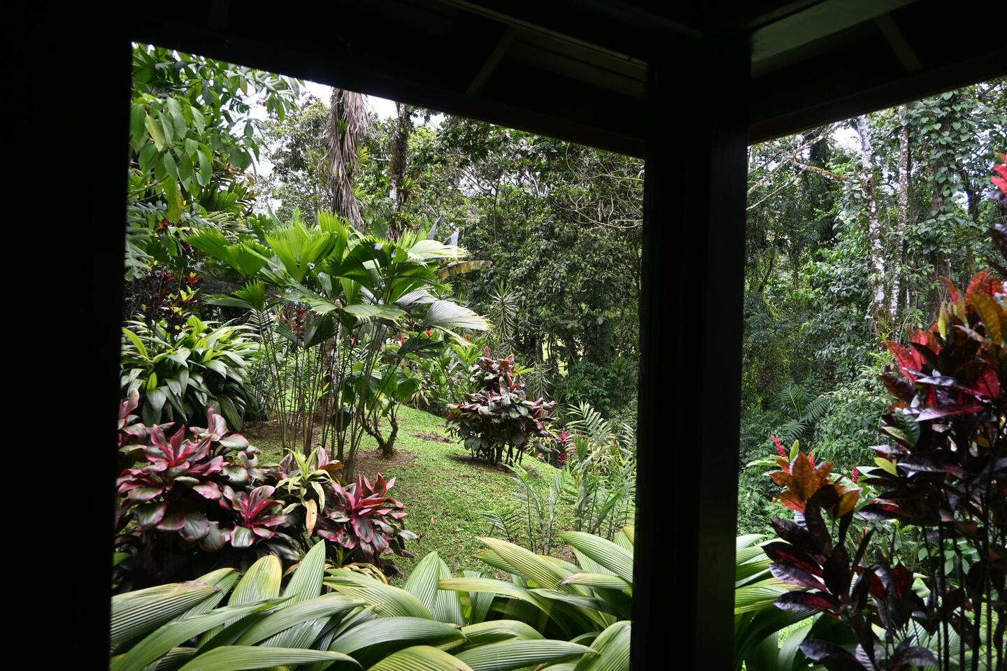 Rear Balcony