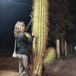 Mein kleiner grüner Kaktus 🌵
