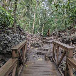 It rained overnight so the hike to the mirador was MUDDY