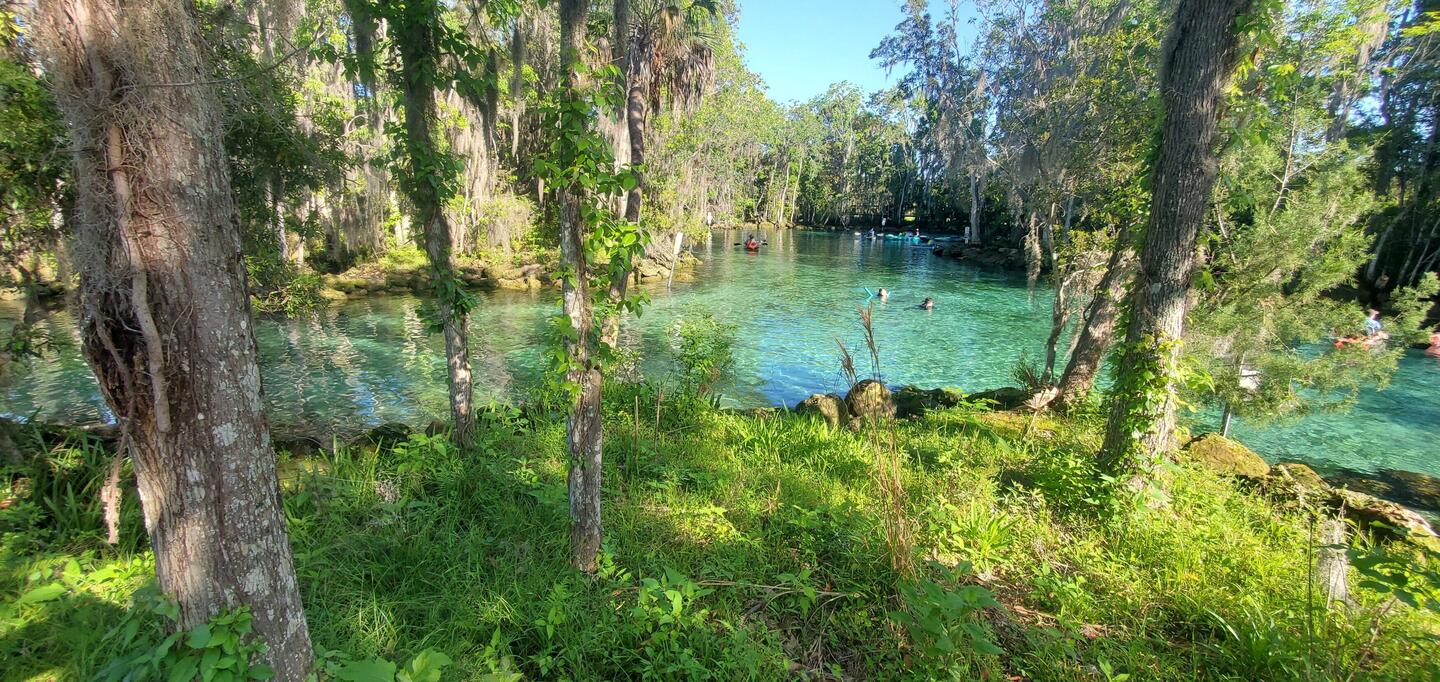Three sisters springs - une crique naturelle