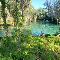 Three sisters springs - une crique naturelle