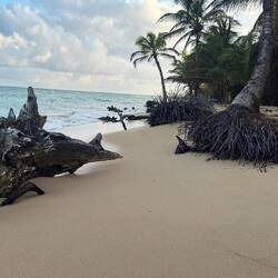 Silver sands beach