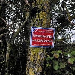 First thoughts - animal reserve, national park? Real translation. Wildlife hunting reserve!