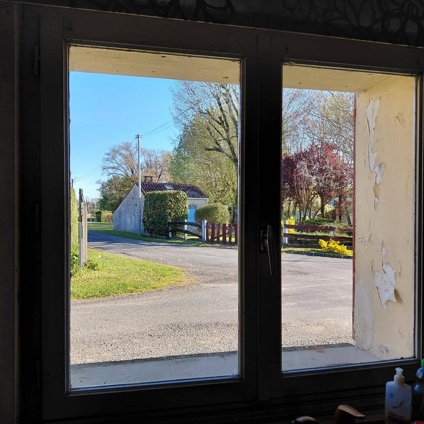 A view of the world from our kitchen window