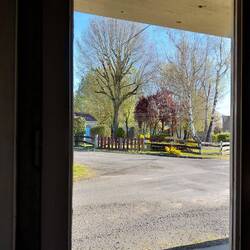 The neighbour's garden is remarkably colourful even before Spring has truly sprung