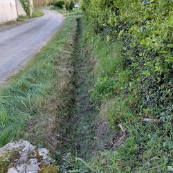 And after - the lawn mower lady did the final trim