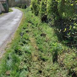 The large overgrown drain outside the front gate - before