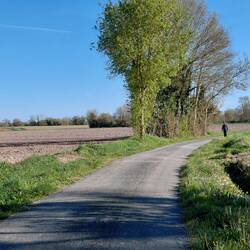Roger outside walking the streets of Les Petites Rivieres