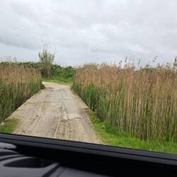 Natürlich durfte auch heute ein derartiger Weg auf unserer Fahrt nicht fehlen 😳