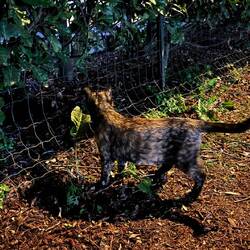 Birdie erkundet noch den Campingplatz. Sicherheit geht vor 😉💕