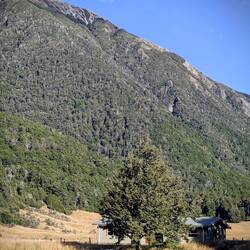 Hope Kiwi Hut