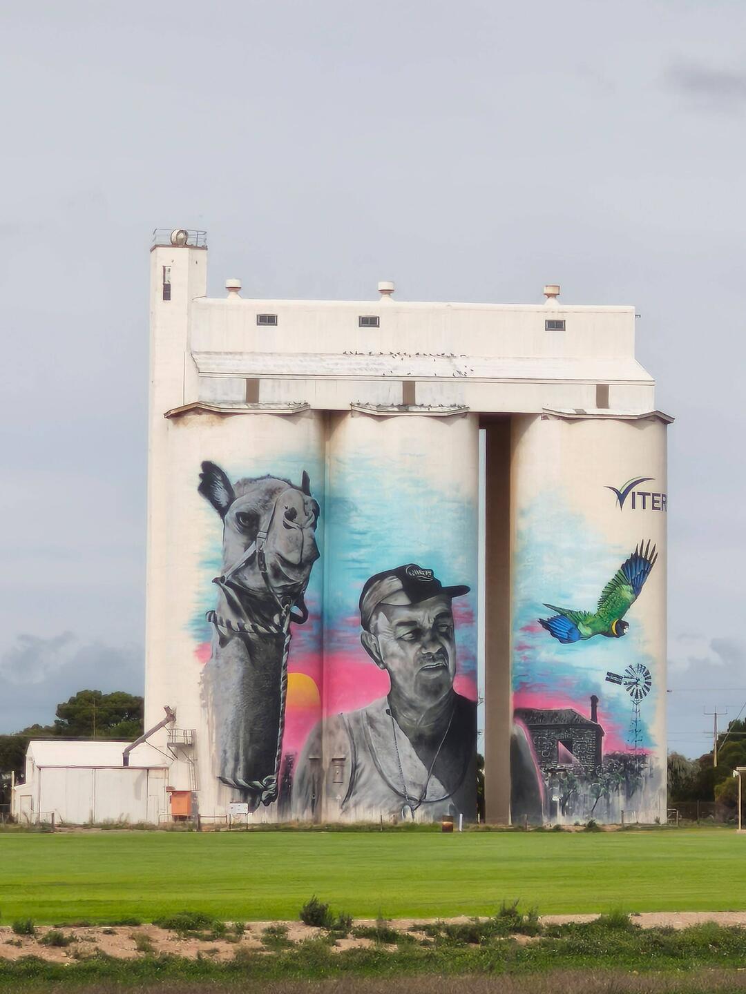 Silo-Kunstwerk in Cowell