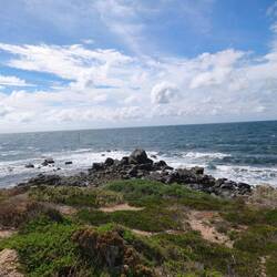 Port Neill