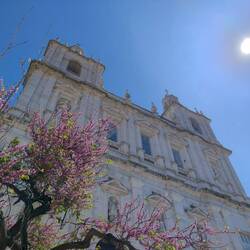 Das allererste Foto in Lissabon....