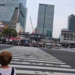 Bereit für das crossing