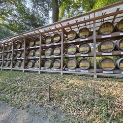 Weinfässer aus Frankreich