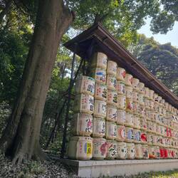 Bunte Sake Fässer