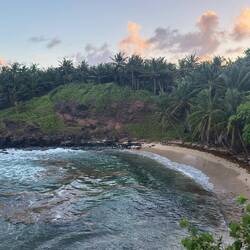 Playa Iguana