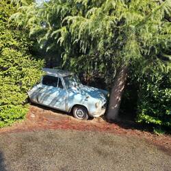 Eingang durch den verbotenen Wald