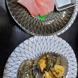 Abalone and otoro tuna