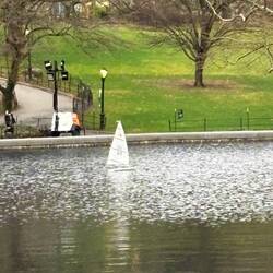 Reminder of the Luxemburg Gardens