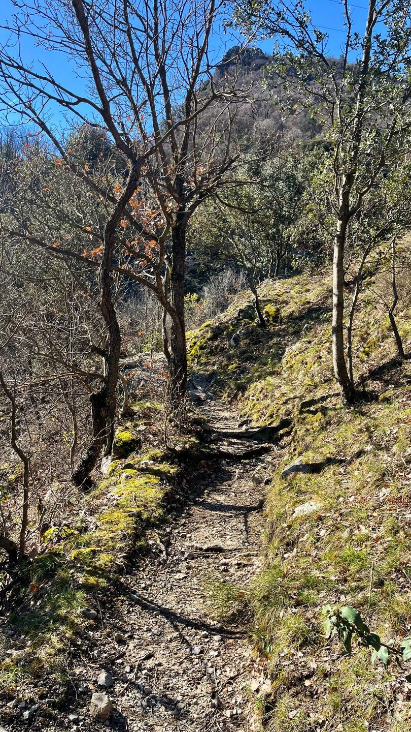 Aufstieg erst harmlos