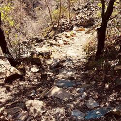 Der Abstieg auch steil. Aber besser, als wenn wir andersrum gegangen wären