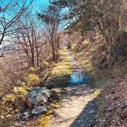 Entspannt weiter und um die nächste Kurve durch einen Tunnel...