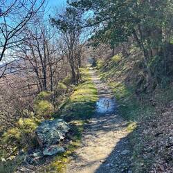 Entspannt weiter und um die nächste Kurve durch einen Tunnel...