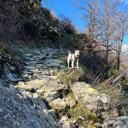 Dann schnell ziemlich steil über Geröll