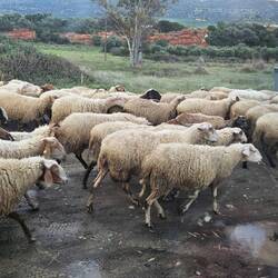 Direkt an uns vorbei gedrängelt