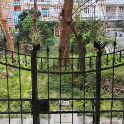 Wir hatten Glück und durften zumindest in den Eingangsbereich Blick auf den etwas verwilderten Garte