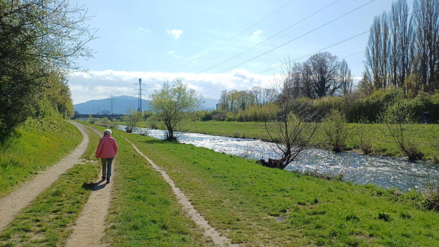 Bummel an der Dreisam