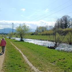 Bummel an der Dreisam
