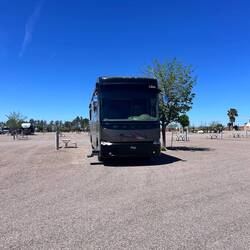 81 Palms RV