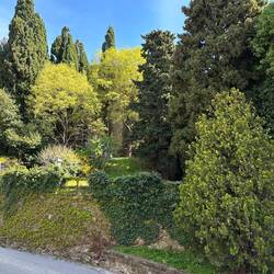 Blick von der Rückseite der Kathedrale ins Grüne (am "Burghang")