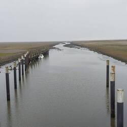Alte Hafen von Friedrichskoog verlandet langsam.