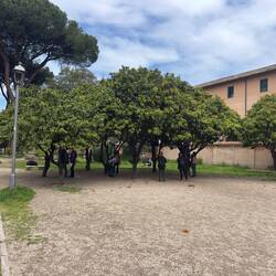 Aventine Hill.