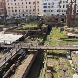 Roman Cat Sanctuary.